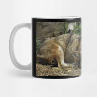 Red Wolf Mug